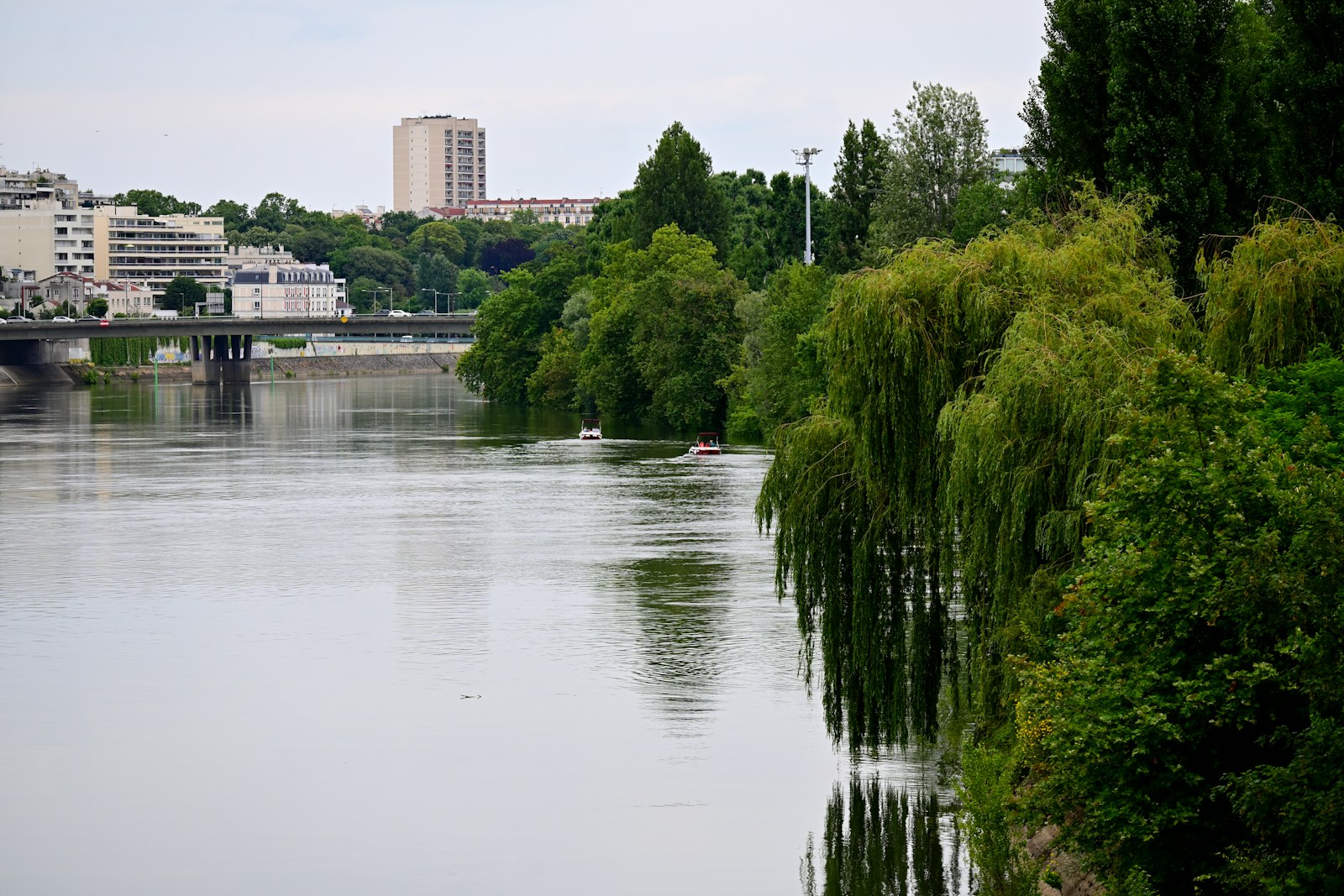 A body of water surrounded by trees and buildings
